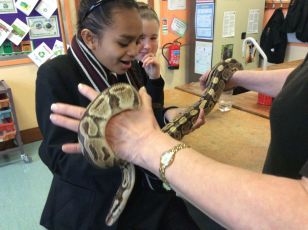 Belfast Zoo visits St Joseph's College